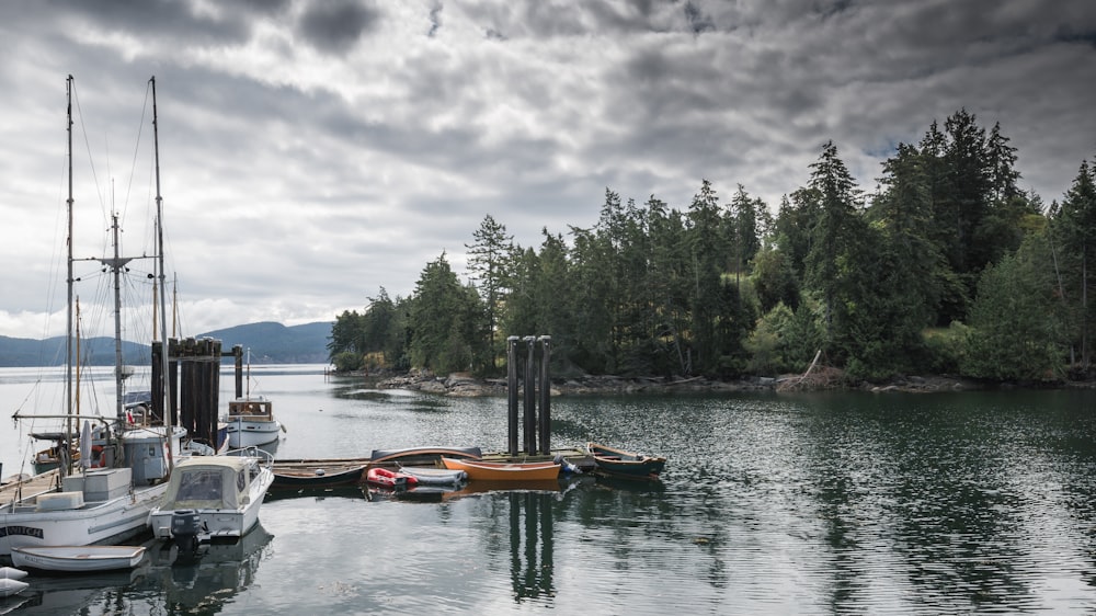 boats in lake