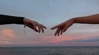 human hands