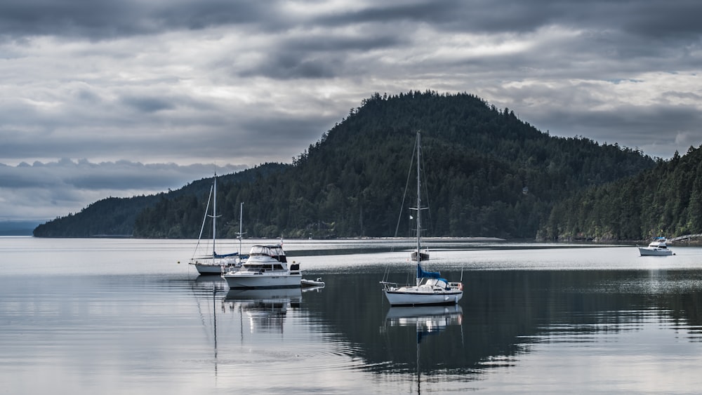 white boats on water under white clouds