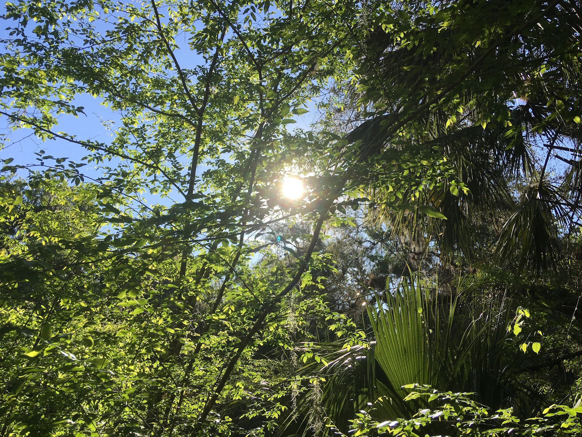 woman wearing yellow long-sleeved dress under white clouds and blue sky during daytime