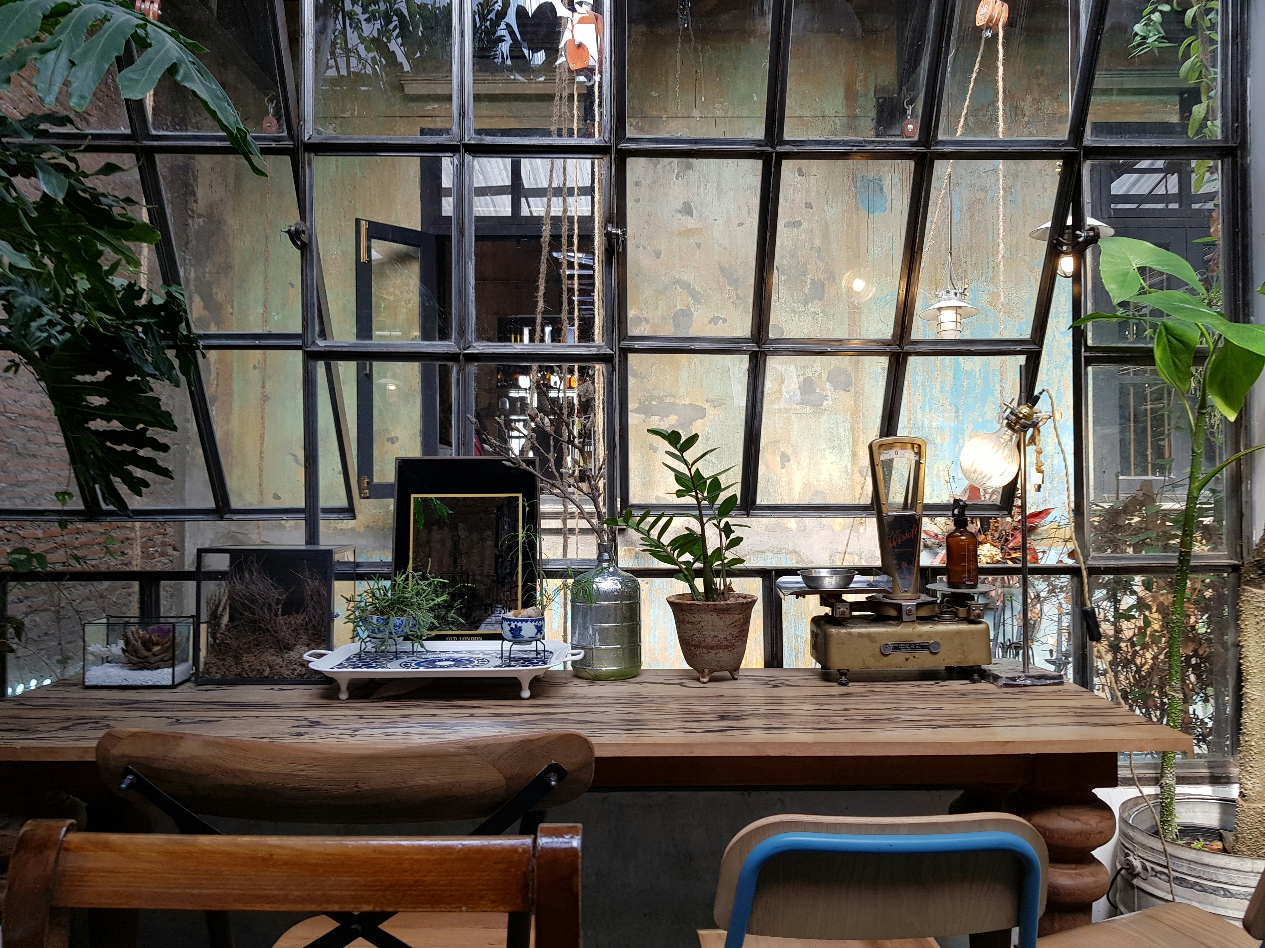 Ignite Your Cooking with Nature: Biophilic Design in the Kitchen