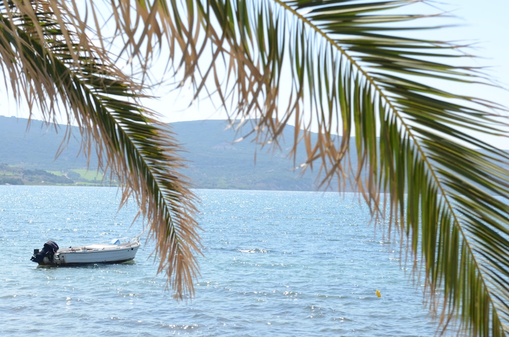 boat on body of water during day