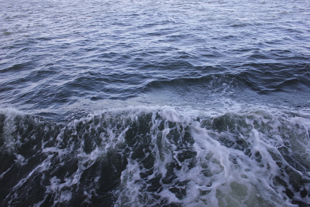 shoreline and ocean waves