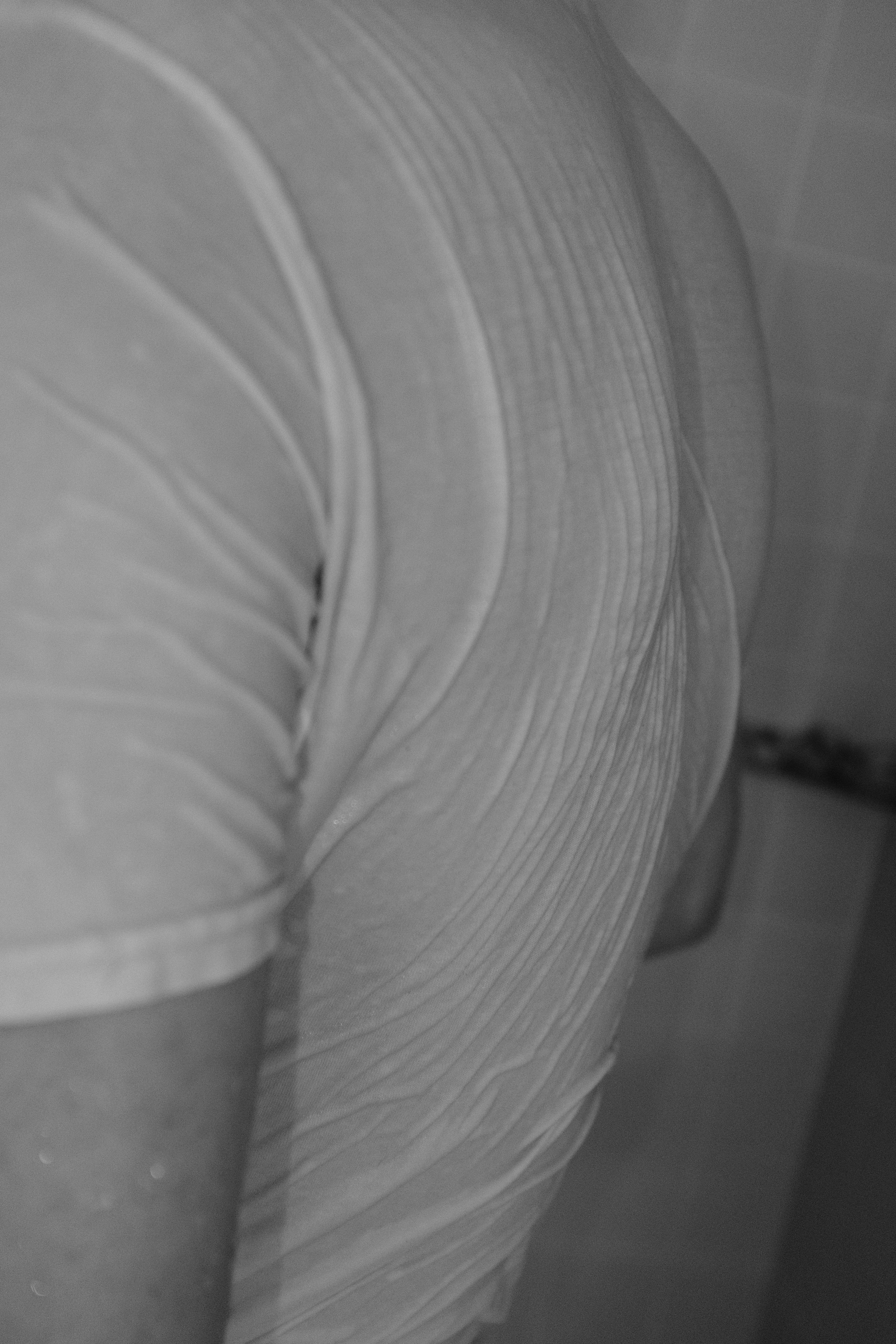 Photo by kennyzhang29