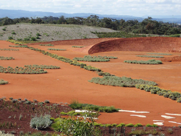 A sustainable garden design blending native plants with earthy tones under a clear sky