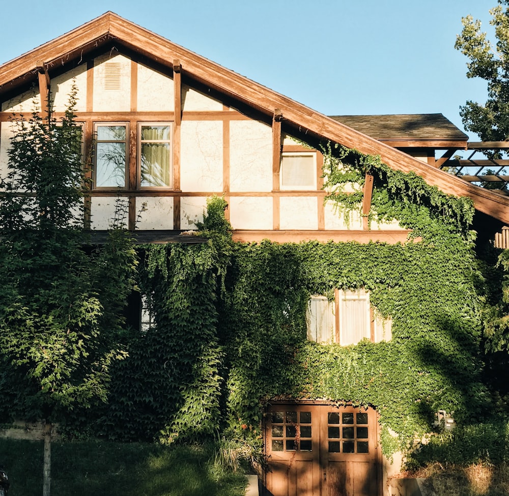 maison en bois marron