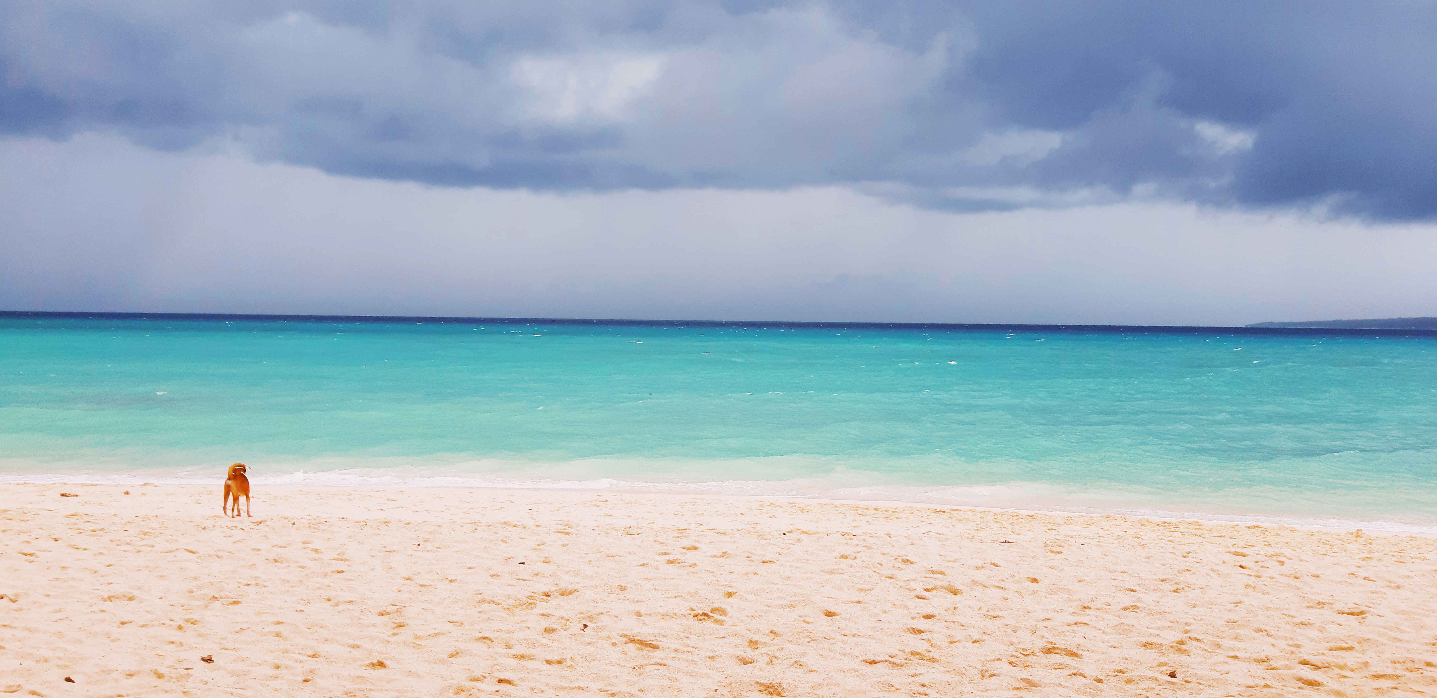 Photo by margamaurawr