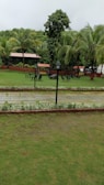 A lush garden setting with vibrant green grass and tall palm trees. There are several dark metal tables and chairs arranged on the lawn, with lamp posts positioned nearby. In the background, small red-roofed structures are partially visible, surrounded by dense foliage.