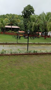 A lush garden setting with vibrant green grass and tall palm trees. There are several dark metal tables and chairs arranged on the lawn, with lamp posts positioned nearby. In the background, small red-roofed structures are partially visible, surrounded by dense foliage.