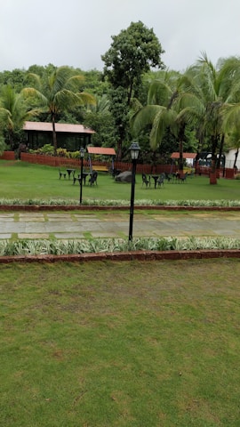 A lush garden setting with vibrant green grass and tall palm trees. There are several dark metal tables and chairs arranged on the lawn, with lamp posts positioned nearby. In the background, small red-roofed structures are partially visible, surrounded by dense foliage.