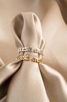 a close up of a tie with two rings on it