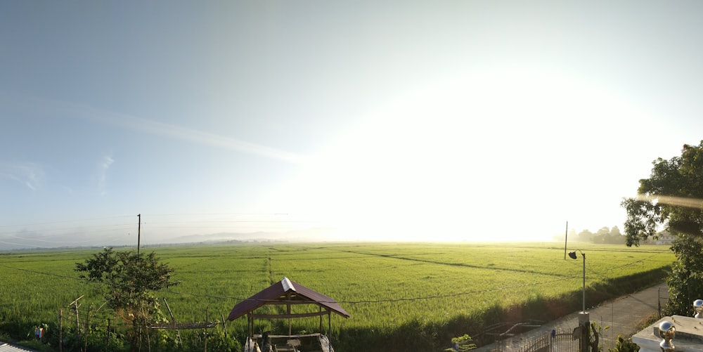 Campo verde durante el día