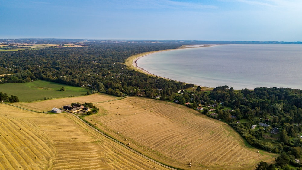 campo bagnato durante il giorno