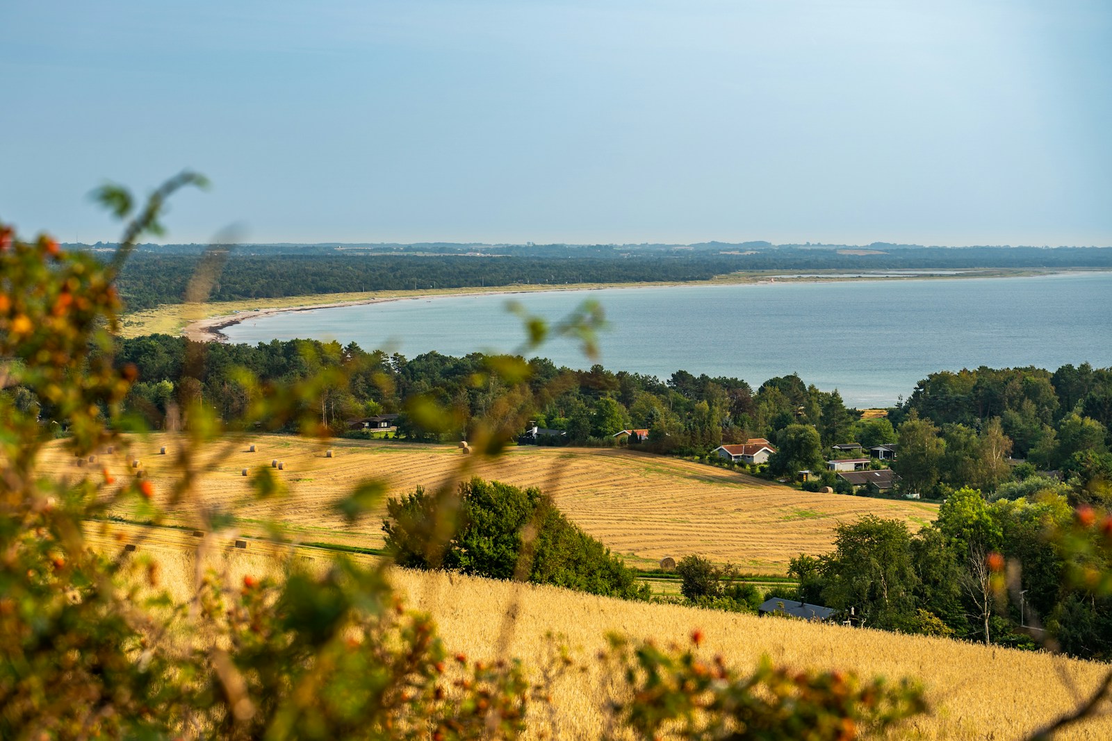 Search by Property