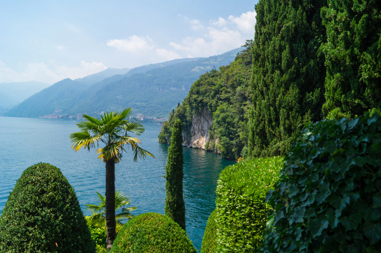 A wooded cliff falling to the water