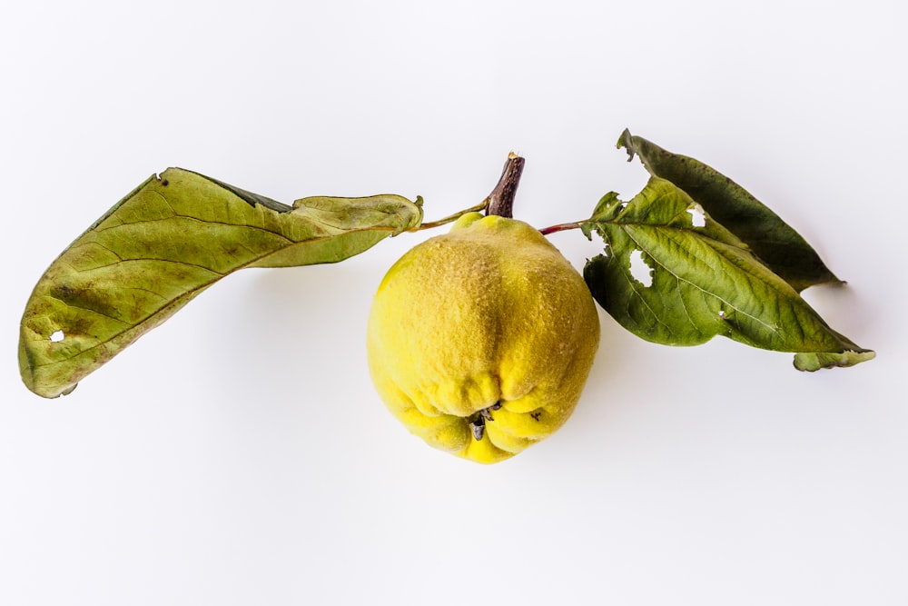 Fruto amarillo con hojas verdes sobre superficie blanca