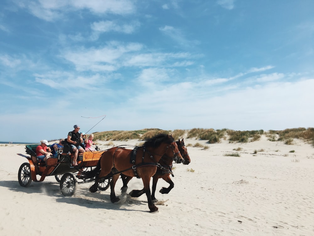 man riding on brown horse