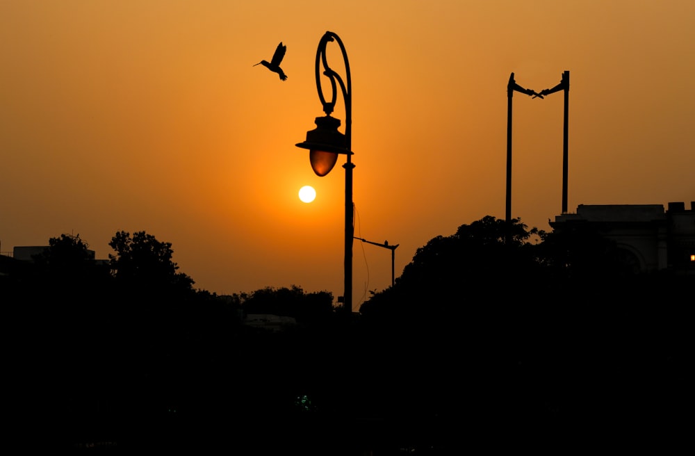 silhouette of torch