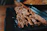 A close-up of a sizzling beef kabob wrapped in lavash, topped with fresh cilantro and onions.