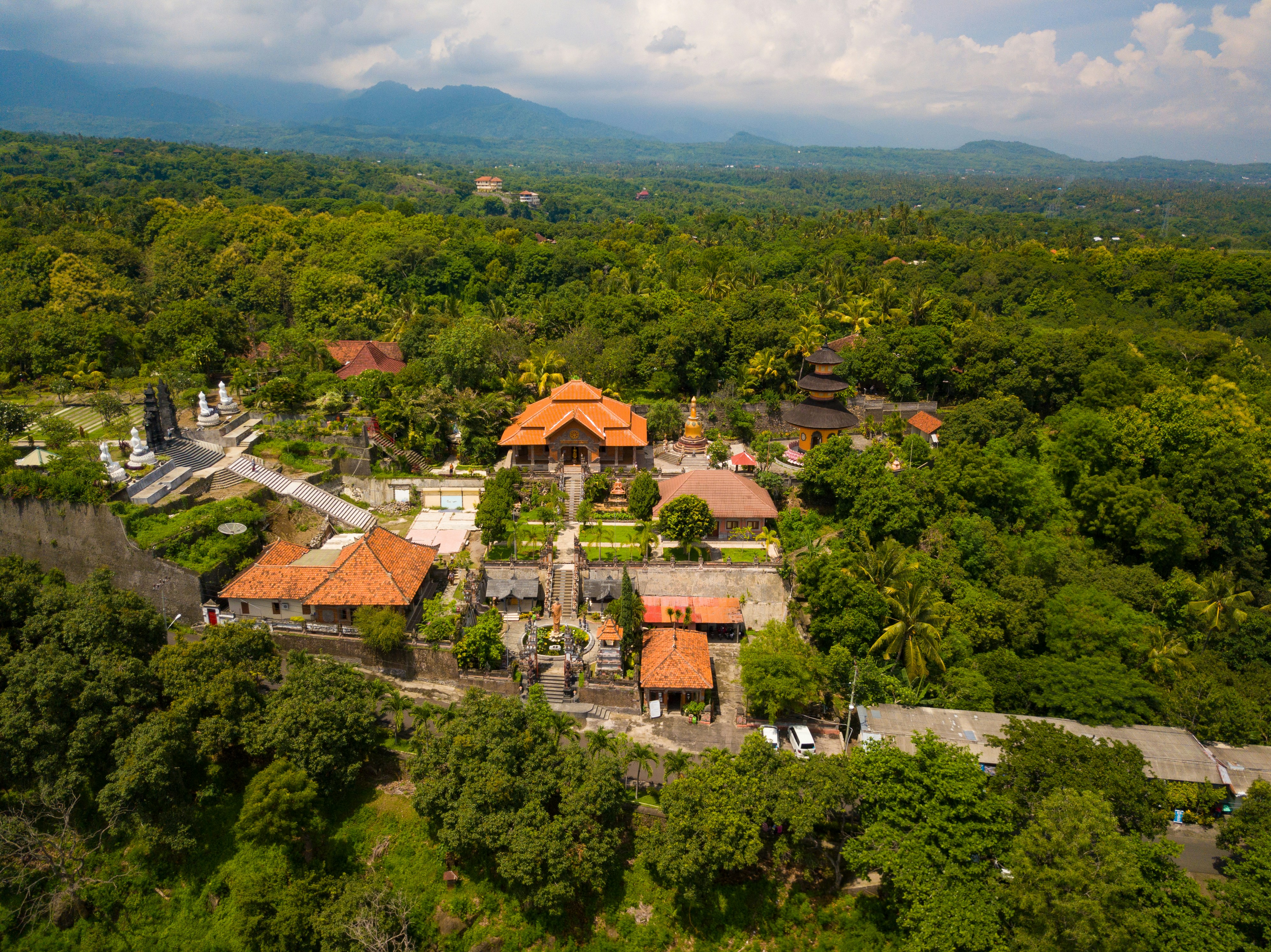 houses beside trees