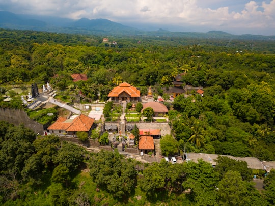 houses beside trees in Brahmavihara-Arama Indonesia