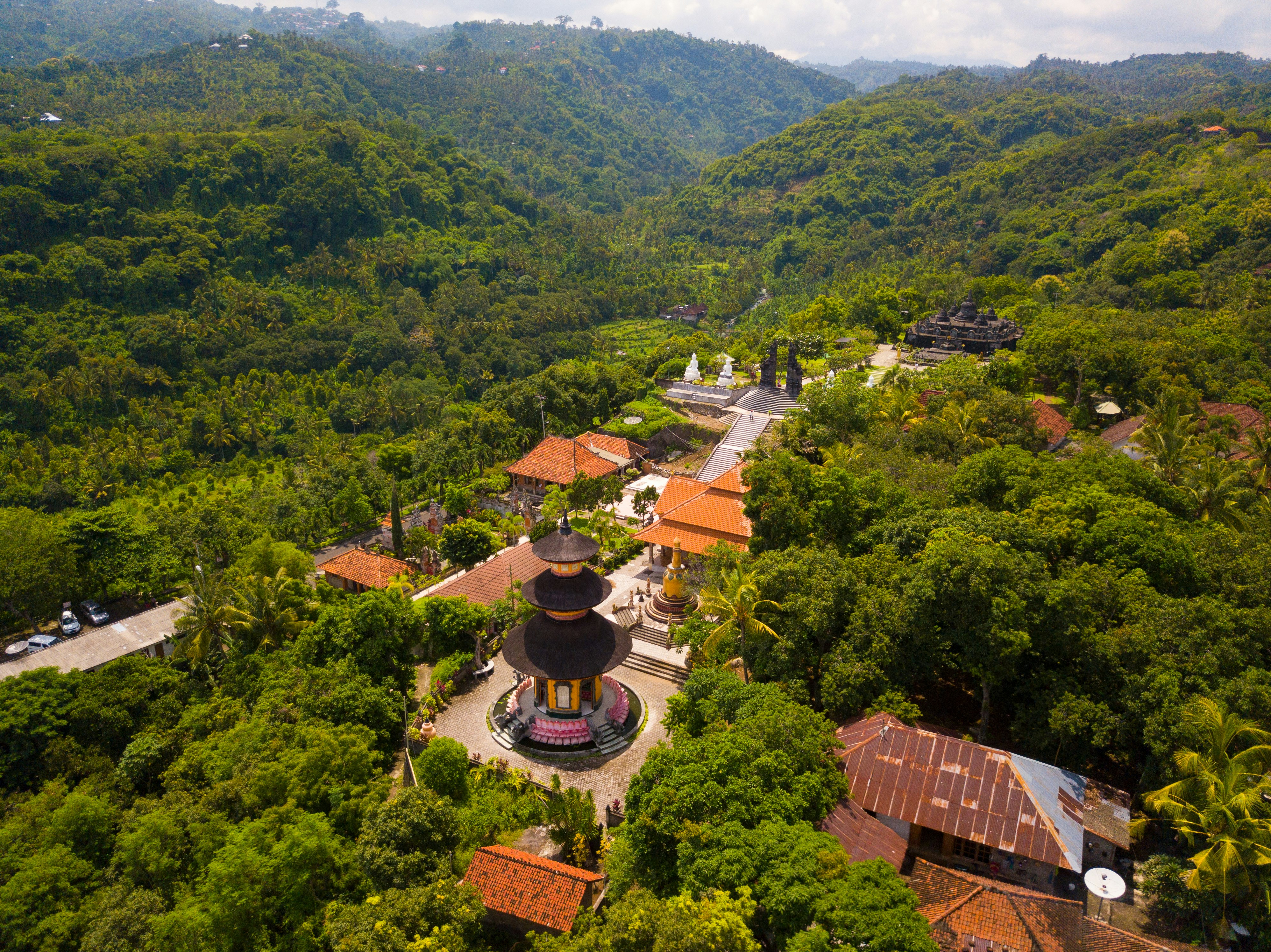 aerial photography of buildings surrounded by trees during daytime