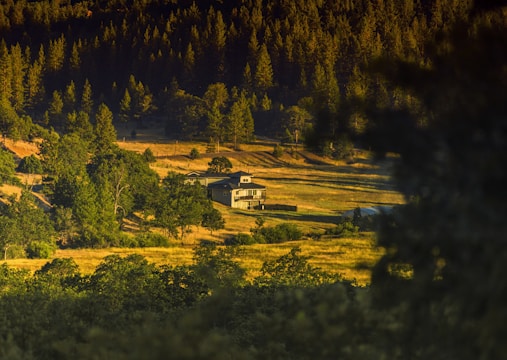A cozy farmhouse surrounded by tall trees and open fields with a backdrop of rolling hills.