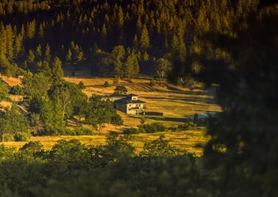 A serene rural landscape featuring a farmhouse surrounded by vast open fields and dense forests. The late afternoon sunlight casts a warm glow over the area, highlighting the green trees and areas of dry grass.