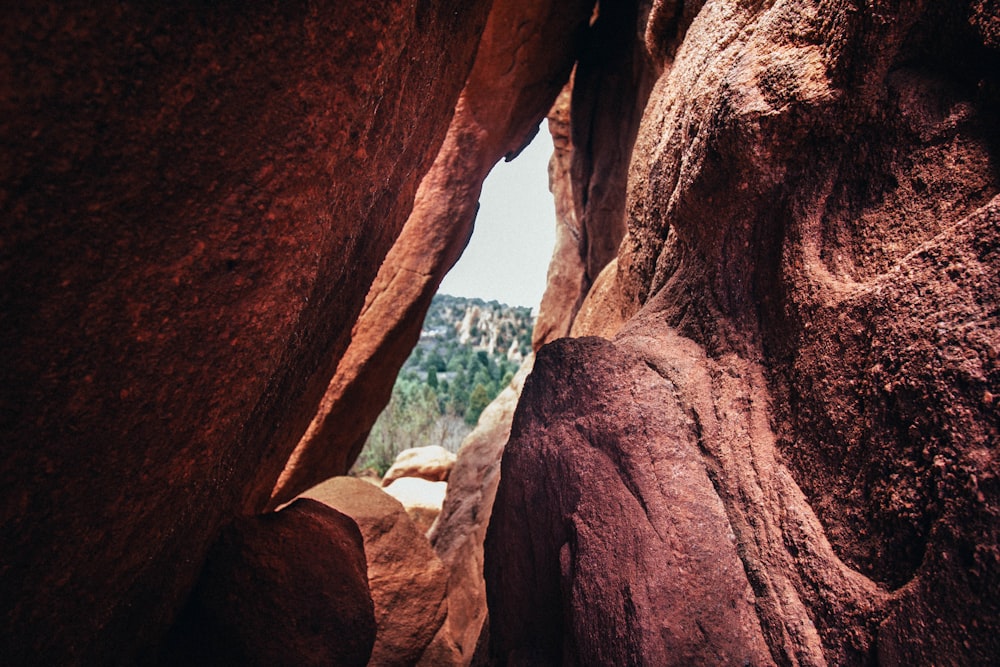 canyon rocks across green forest