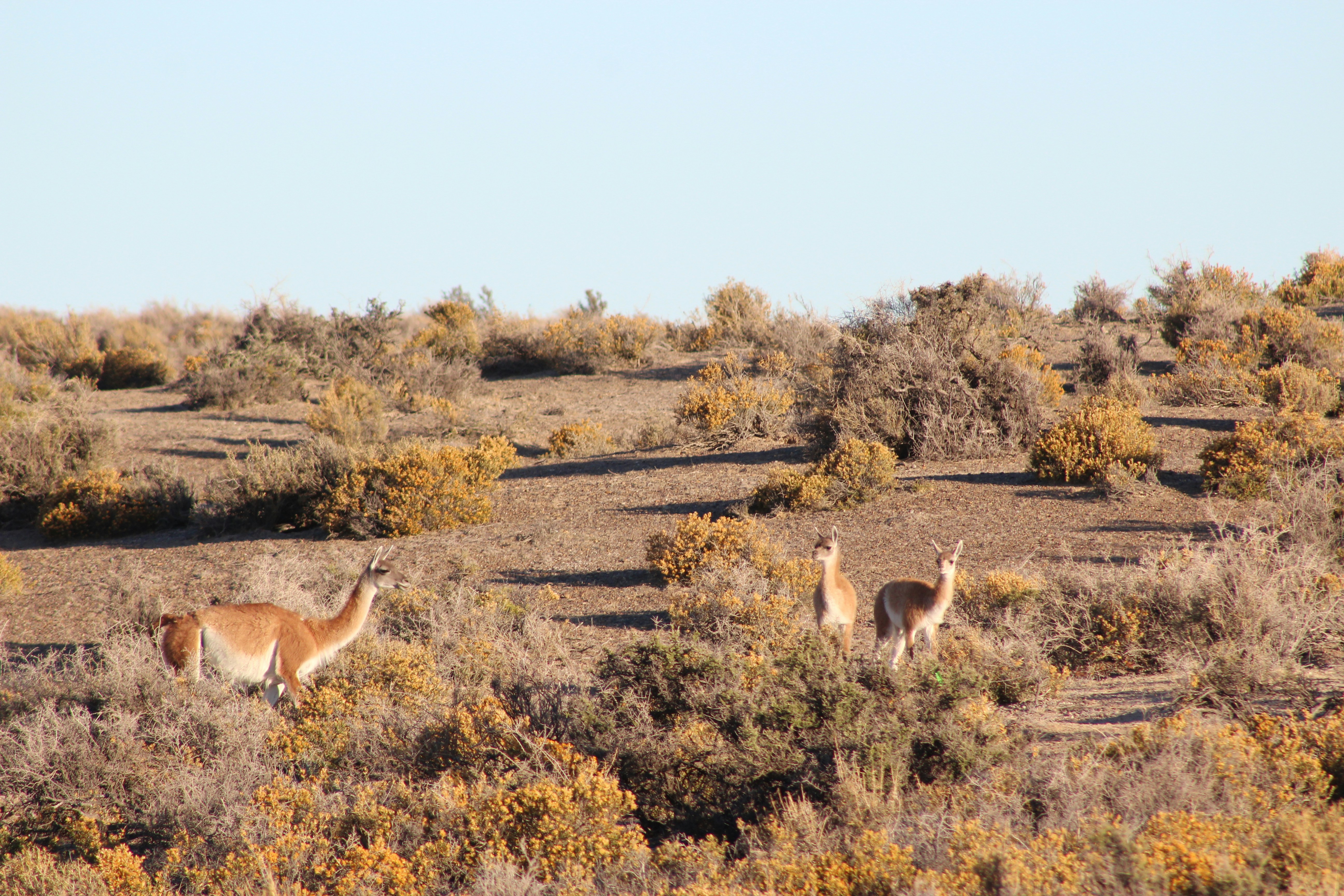 Photo by sergiomar73