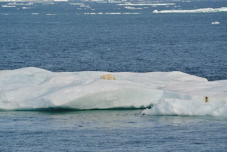 A serene Arctic landscape showing melting ice caps with a polar bear mother and cub in the foreground.