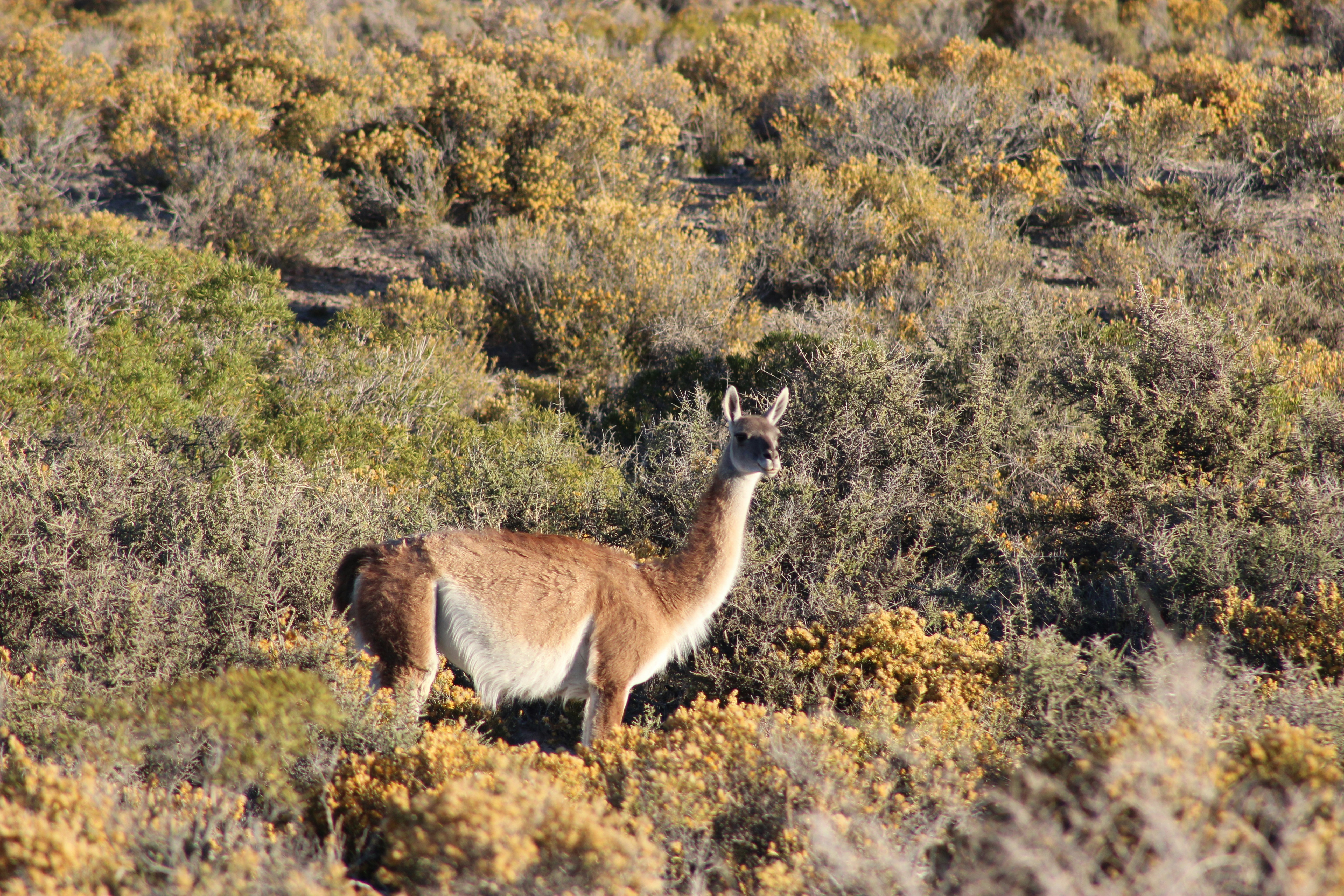 Photo by sergiomar73