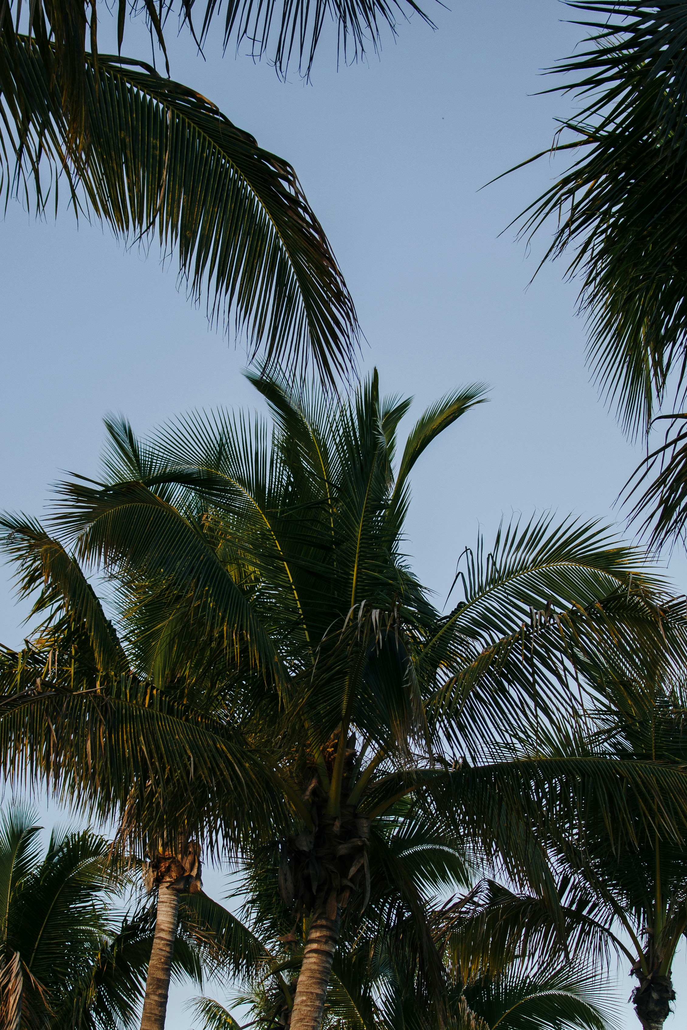 Photo by lautaroandreani