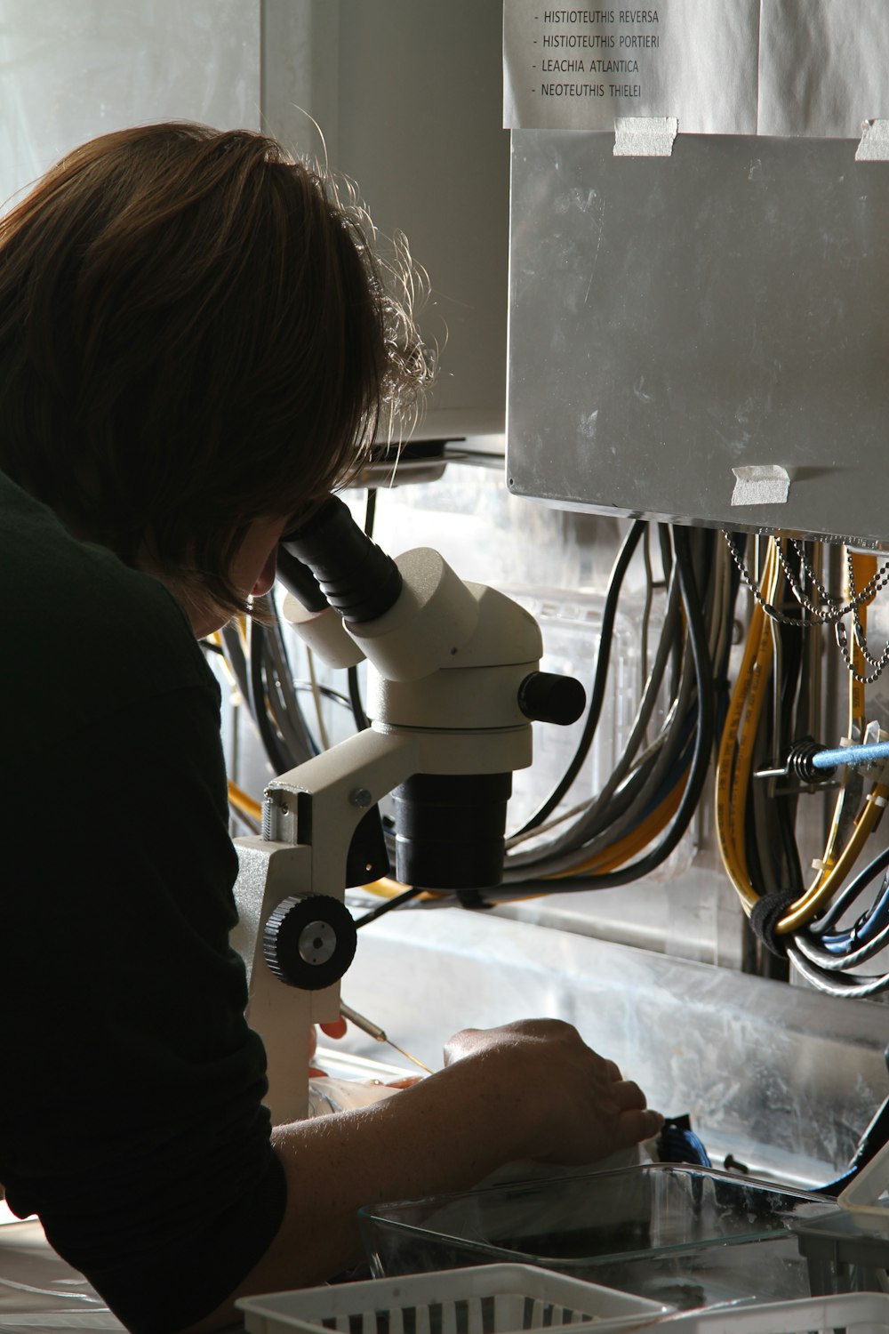 woman using microscope