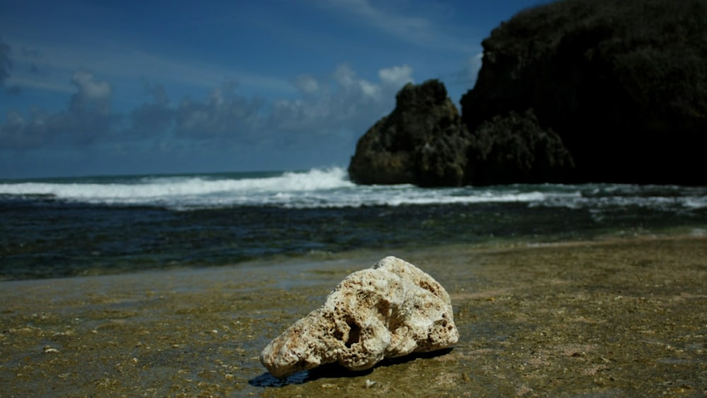 white stone on shore at daytime
