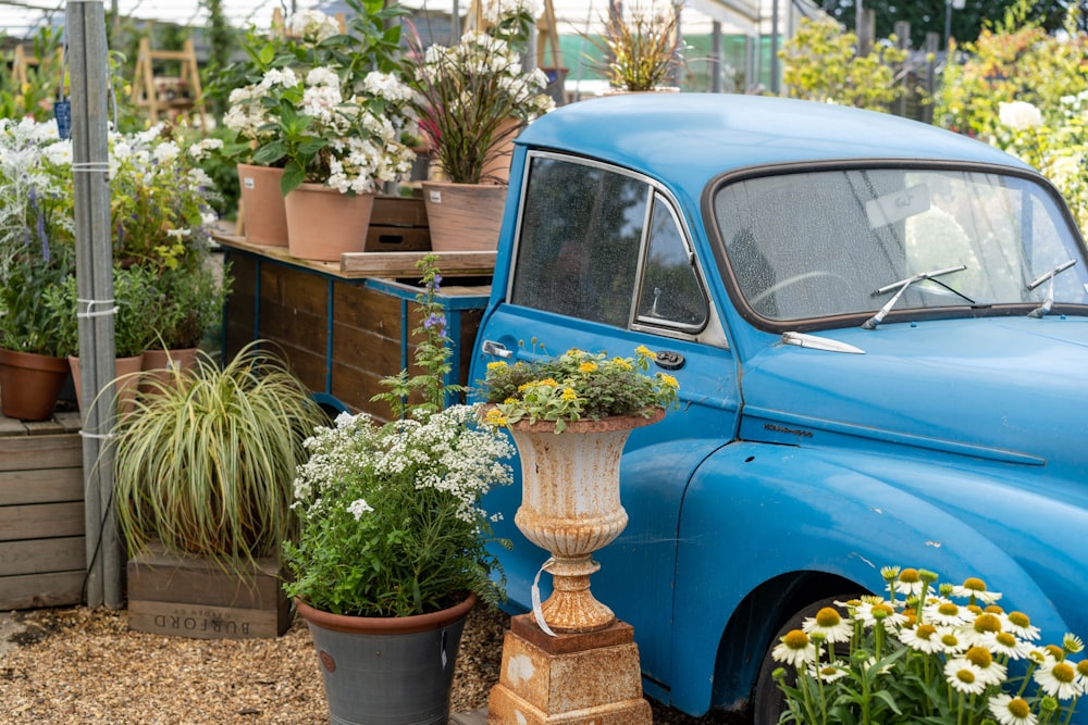 blue pickup truck in garden