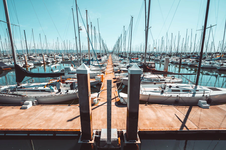 Vista amplia de una marina con embarcaciones