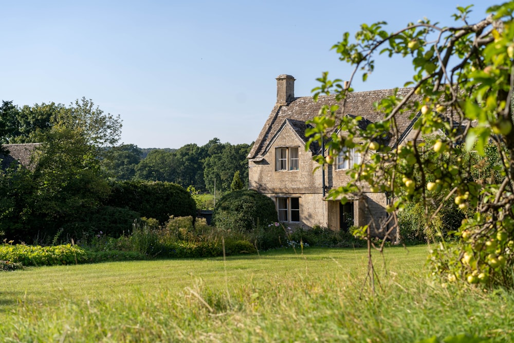 brown house near trees