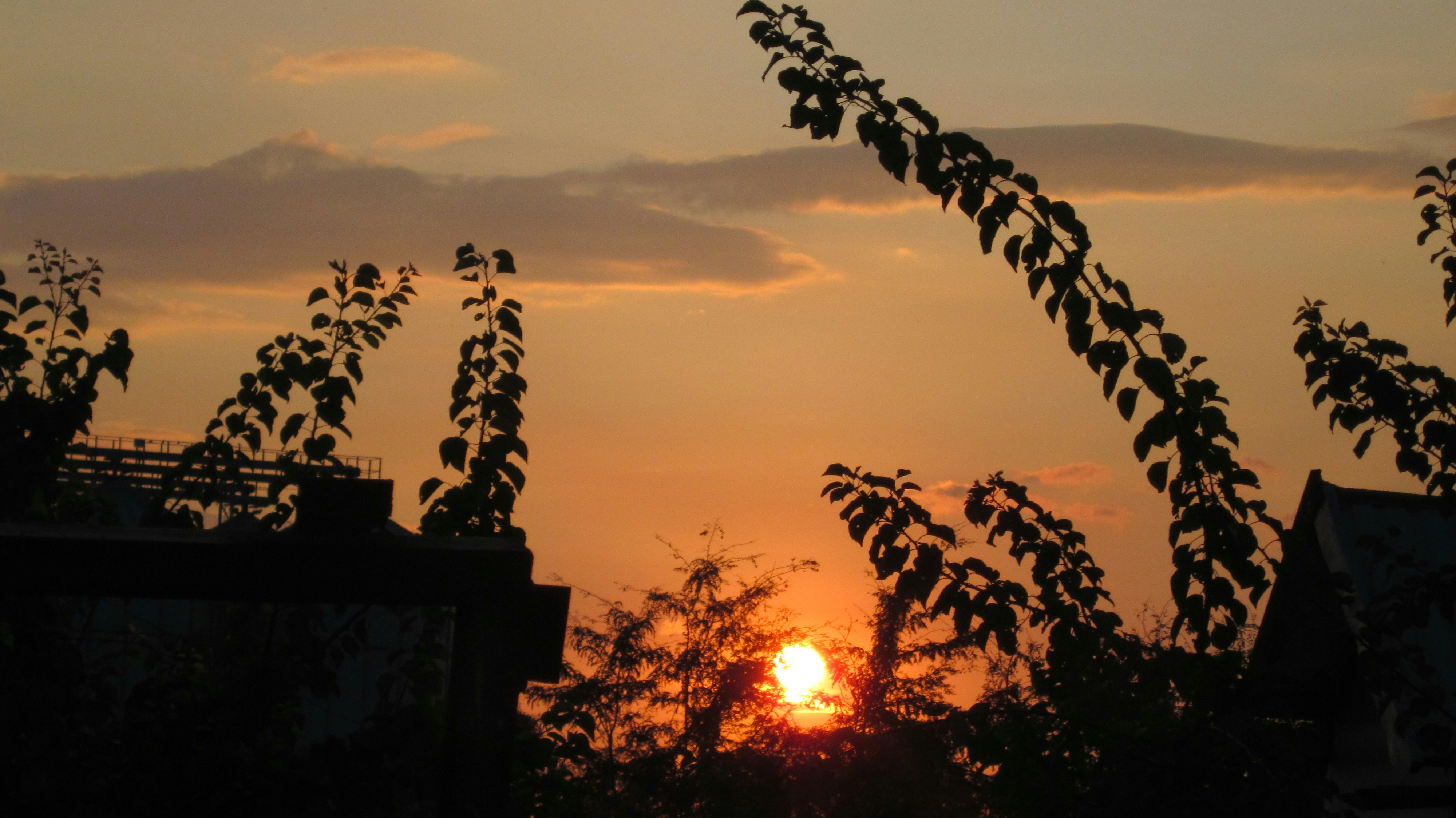 Photo by jassy2012
