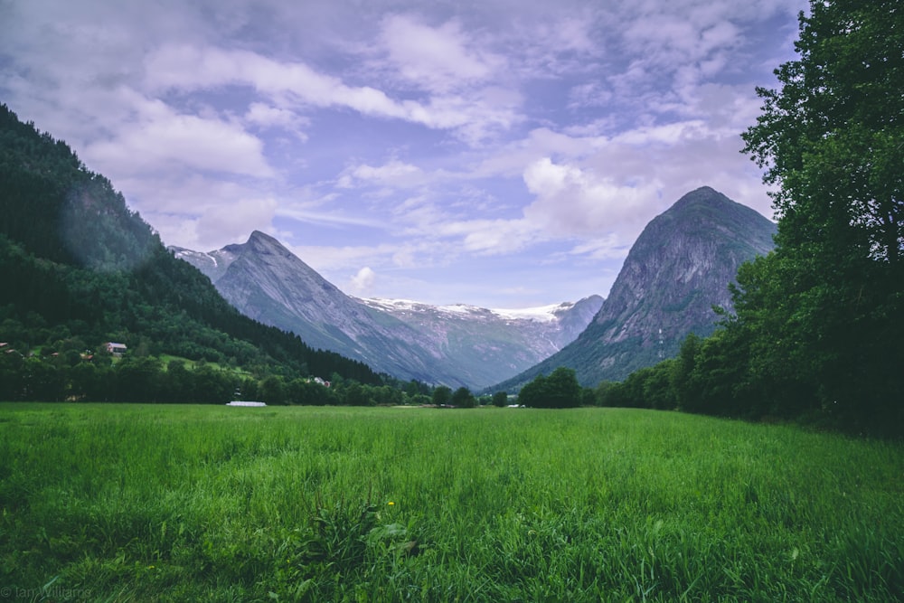 green open field viewing mountain under blue and white skies during daytime