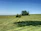 Photo of a large cleared acreage with trimmed grass under a bright blue sky