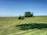 A freshly mowed green lawn with neat stripes under a bright blue sky.