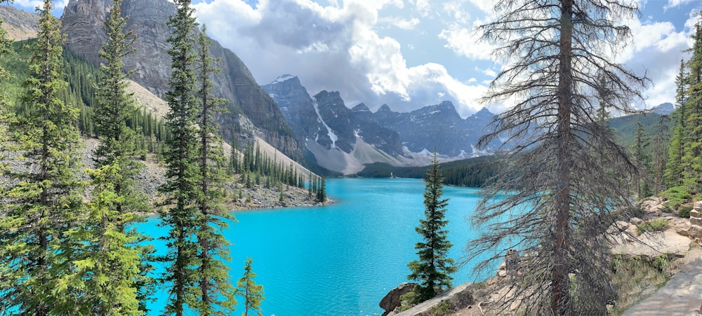 green trees near mountains and body of water under cloudy sky