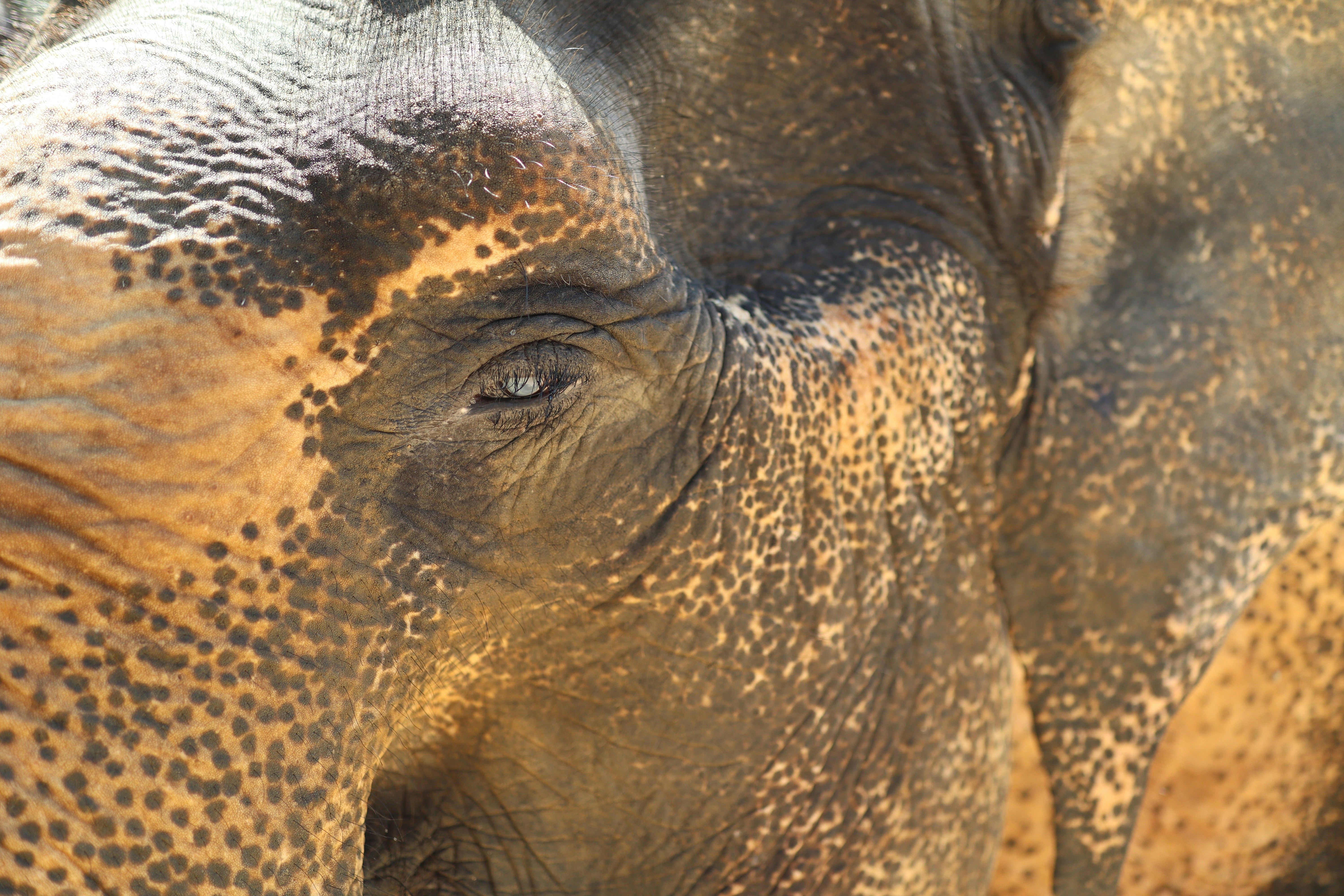 Photo by christian_dubendorfer