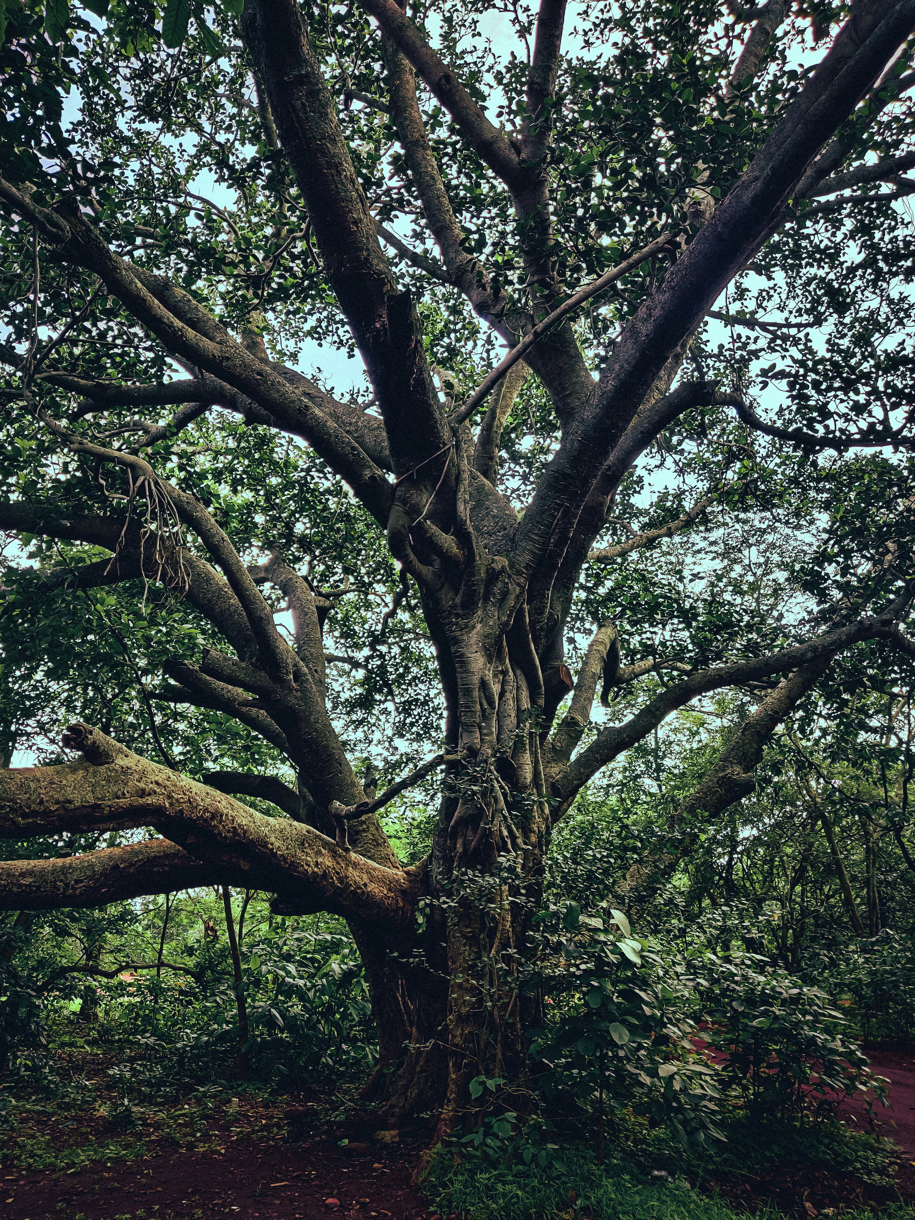 Photo by vikas_minz