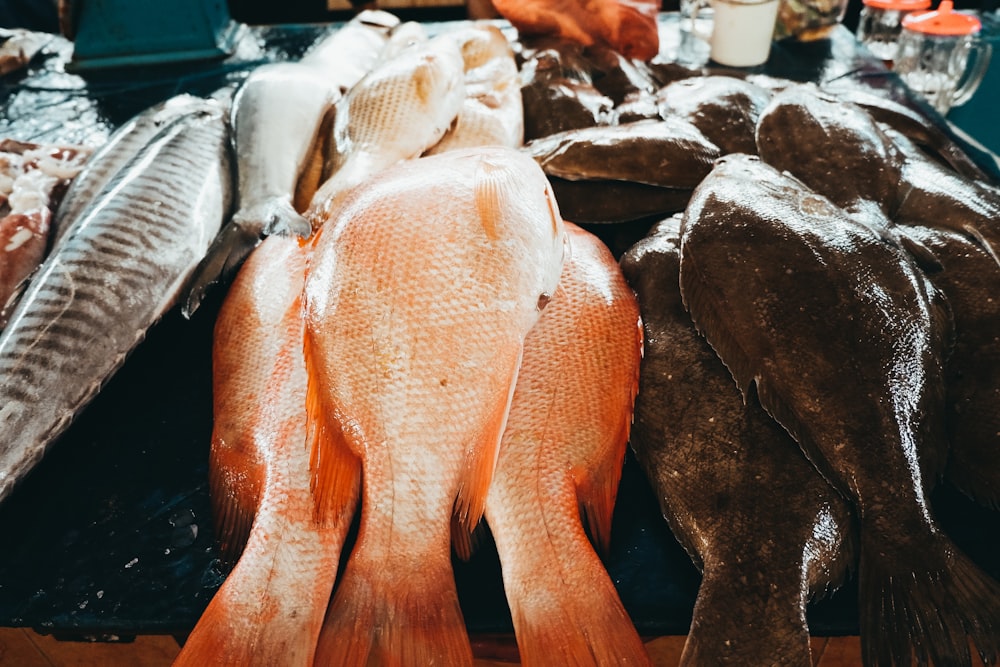 fish on black surface