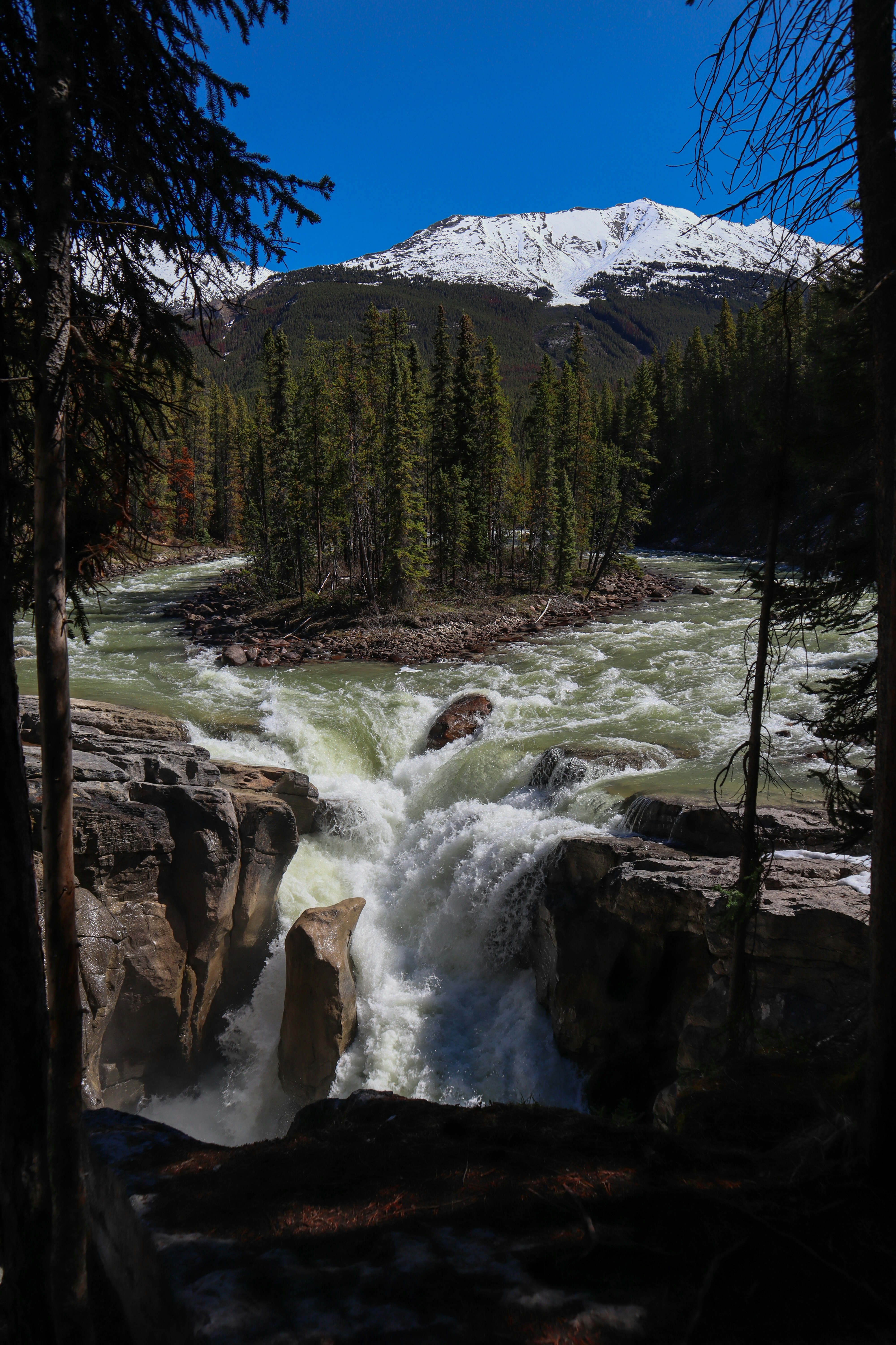 waterfall and trees under blue sky