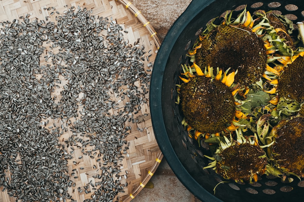 yellow sunflowers close-up photography