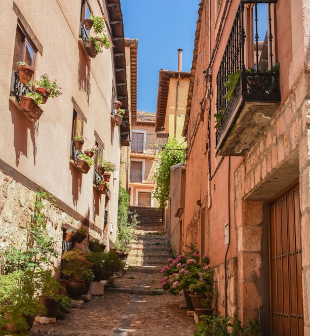 a narrow alleyway with potted plants on either side