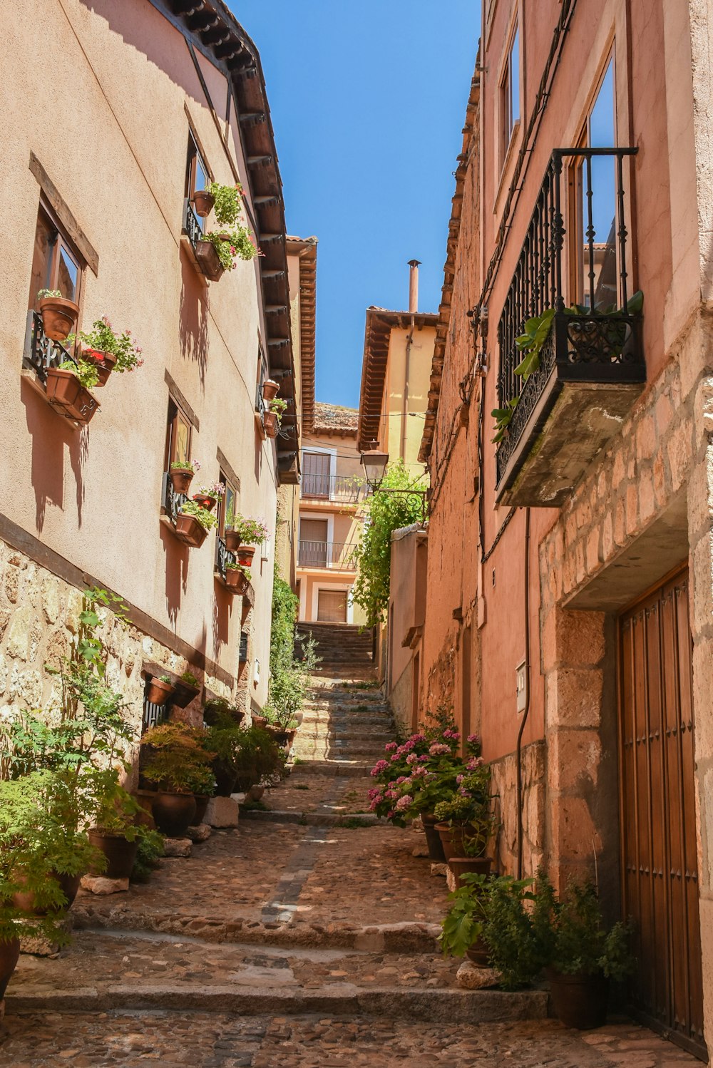 a narrow alleyway with potted plants on either side